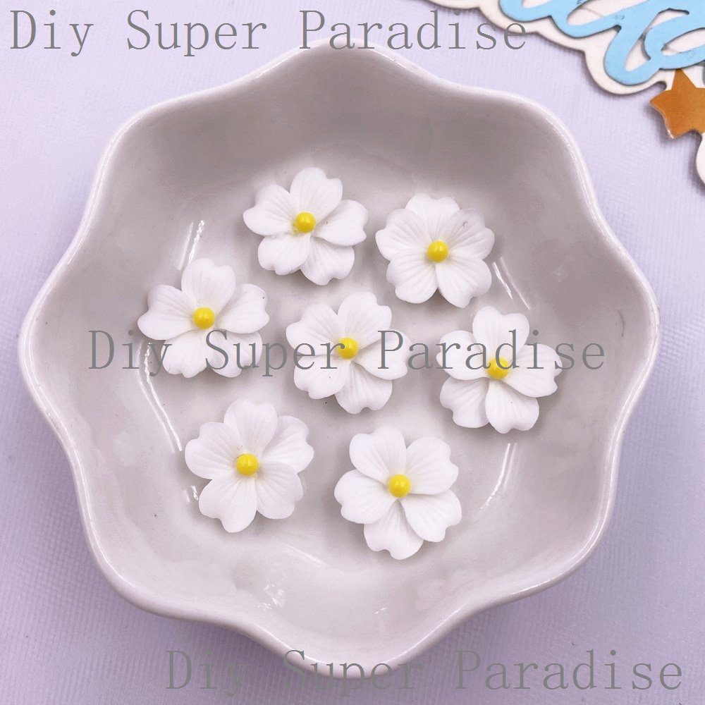 50 pièces résine colorée 16mm  - Paradise Jewelry & Watches Llc avis et prix