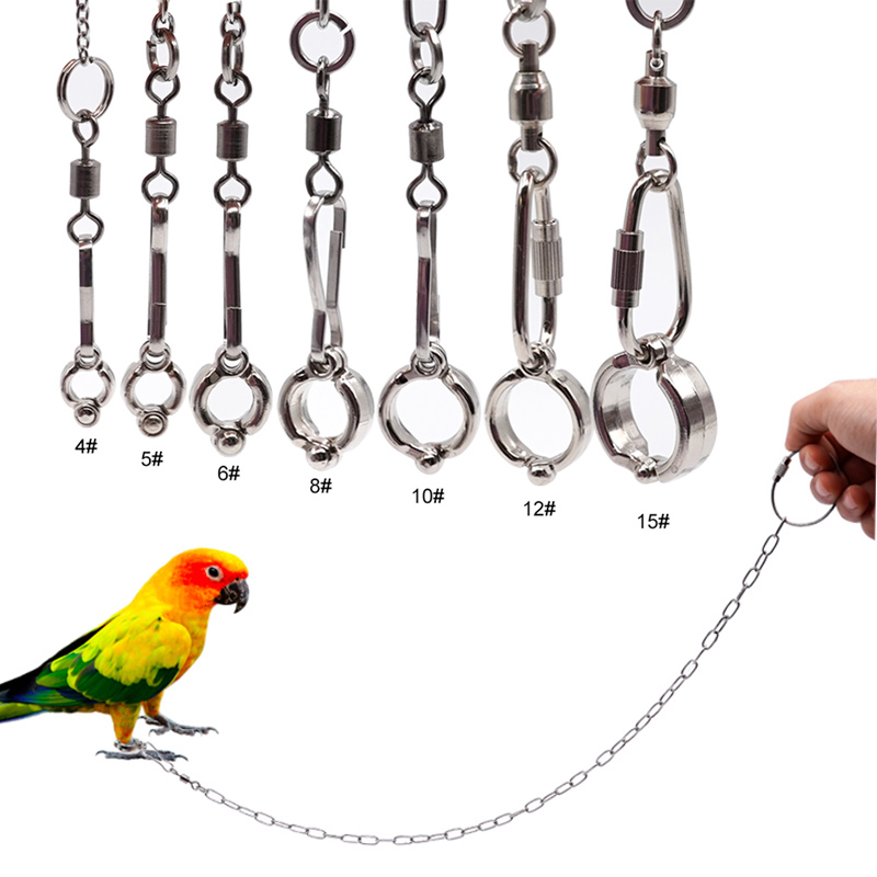 Anneau de jambe de perroquet e - Anklet Foot Chain avis et prix